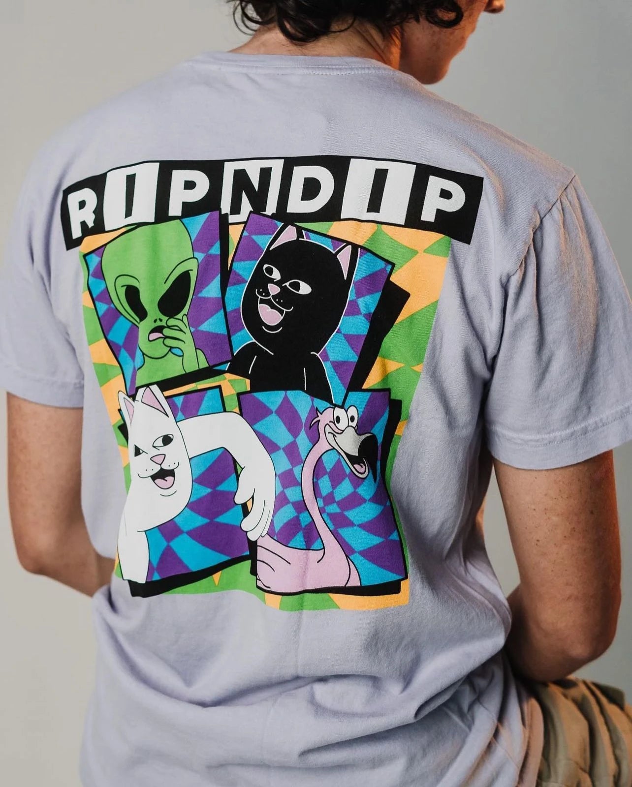 RIPNDIP