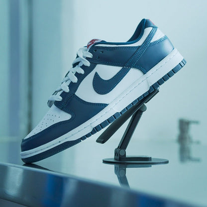 Dunk Low "Valerian Blue"